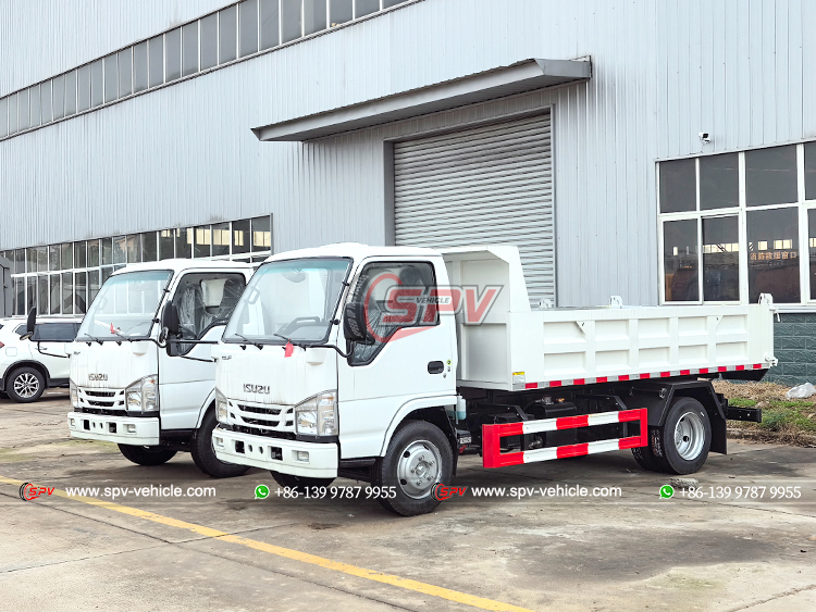 ISUZU 100P Light Duty Tipper Truck - FL